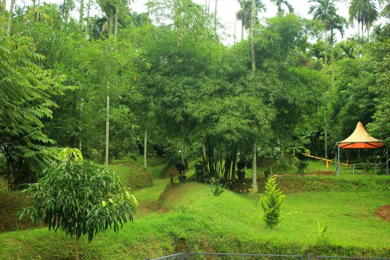 Vintage Garden Resort Sultan Bathery 0*,  India